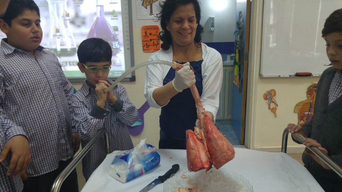 @DawhaHighSchool EB5 au laboratoire pour voir les mouvements respiratoires