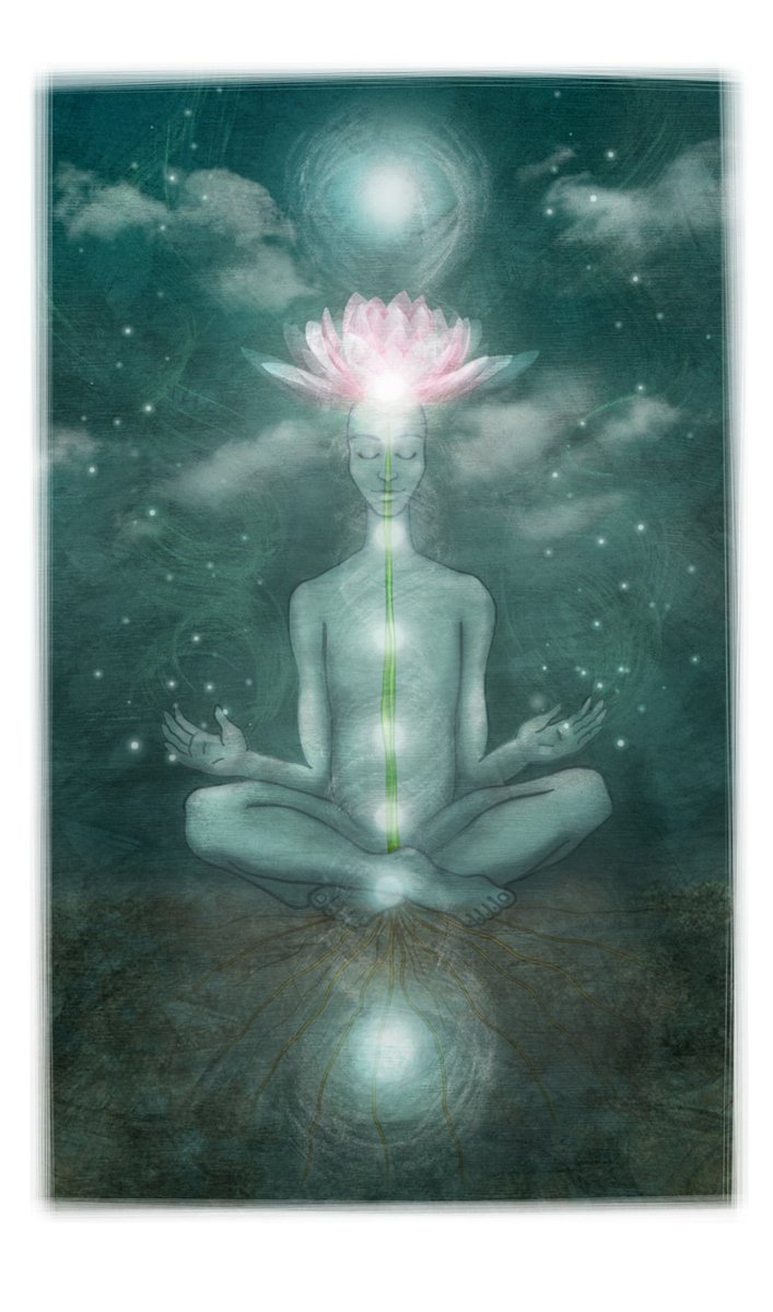 mindfulnessconhugobusso.tumblr.com