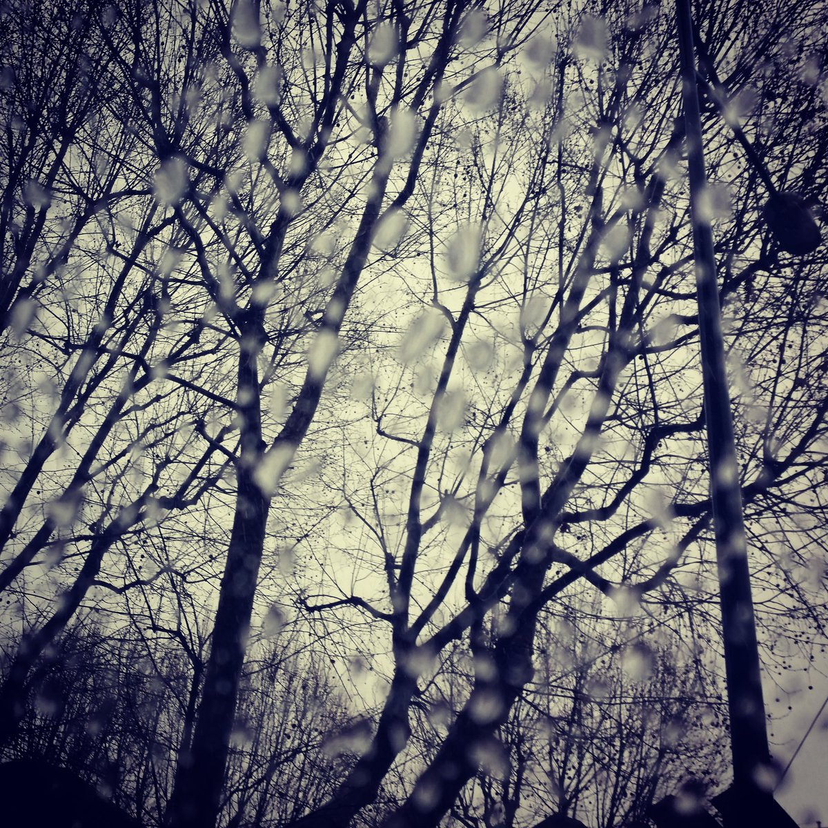 menu_a_porter's tweet photo. Into the #storm @turismotorino @twitorino #neve #snow #torino #turin https://t.co/lhtjvMvTxX