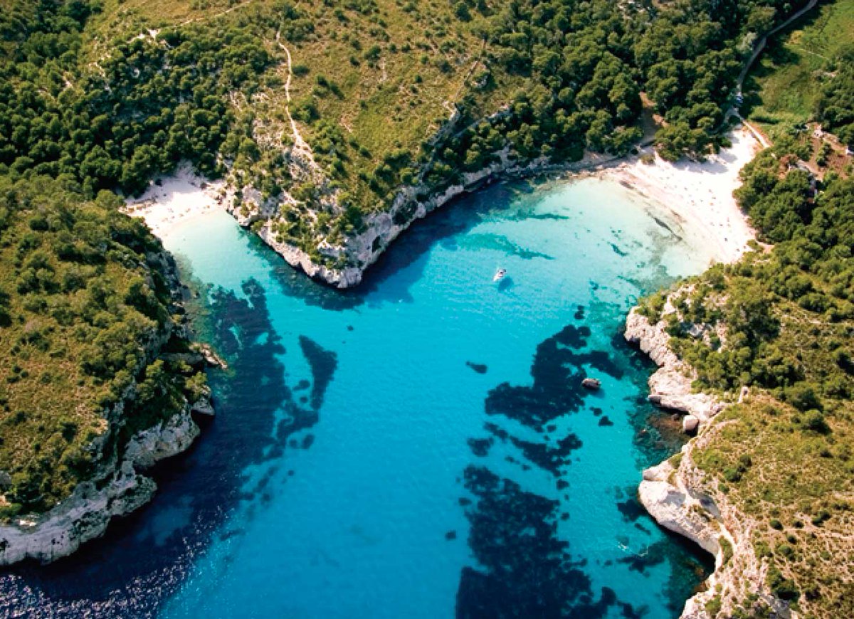 Viaggi Low Cost tweet media