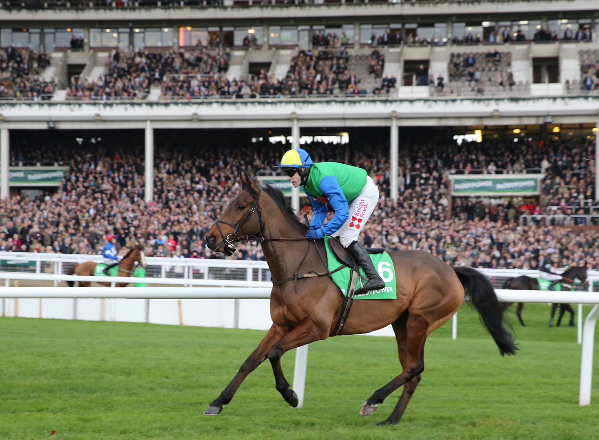 knightfrank's tweet photo. Day 2 of #CheltenhamFestival - @tommyscu rides Harley Rebel in the 4.30 &amp; Jot ‘em Down in the Bumper #racing https://t.co/VgqXLMVjq3