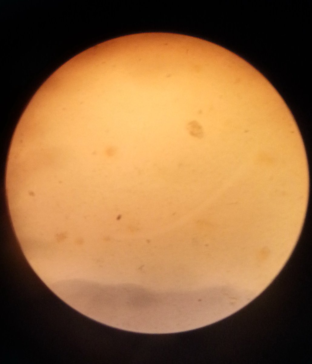 Grade 6 learners# Observing the cheek cells under the microscope@DawhaHighSchool .