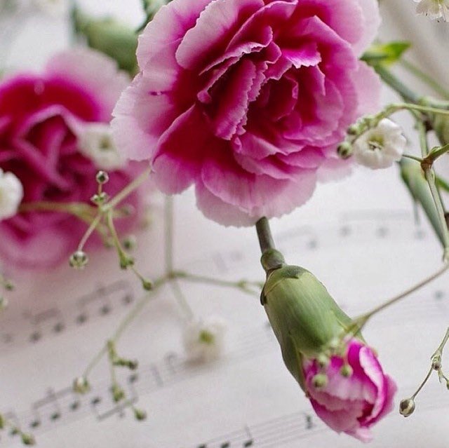 <a href="/Altorgy_/">الطرقي</a> 
مساؤك قرنفلي فاتن وعزف مخملي يراقص اوتارقلبك ي لجمال حضورك ف الروعة نستقيهامن حضورك الماطر دمت بود ي انيق