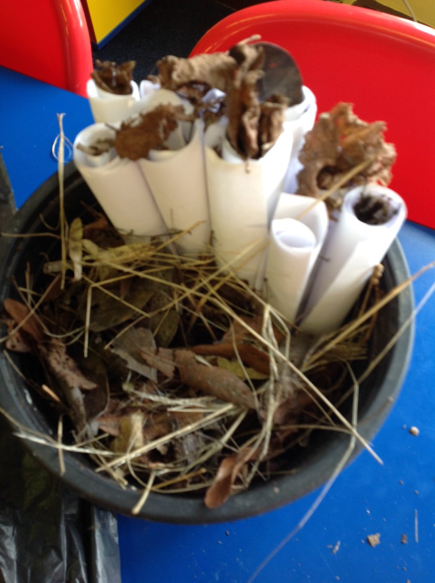 Class 3P Lowerplace tweet media