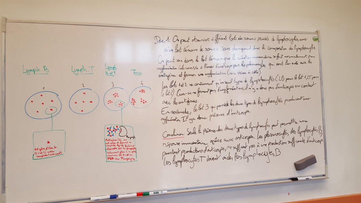 rlld8's tweet photo. #lt4dorian cours sur les lymphocytes t4 https://t.co/NT1b3azkRe