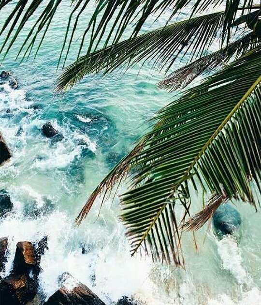 Amoocollection's tweet image. Where we want to be 🌴 | #bohemian #travel #wanderlust #fashion #fashionblogger #beautyblogger #beauty #ootd #summer