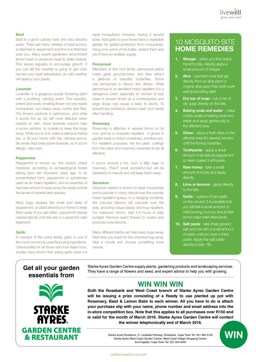 You can plant a mosquito-repellent garden. Read our article featured in the Wellness Warehouse Magazine March issue.