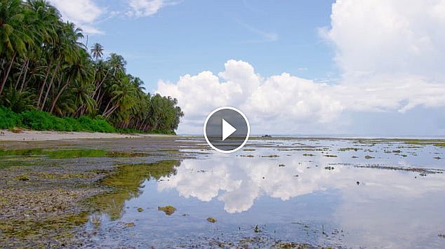 surf30's tweet photo. Jack Freestone en las Telo: Las Telo son un grupo de… https://t.co/GDAMKMoRer #Indonesia #JackFreestone #Vídeos https://t.co/G8NUBMWAkx