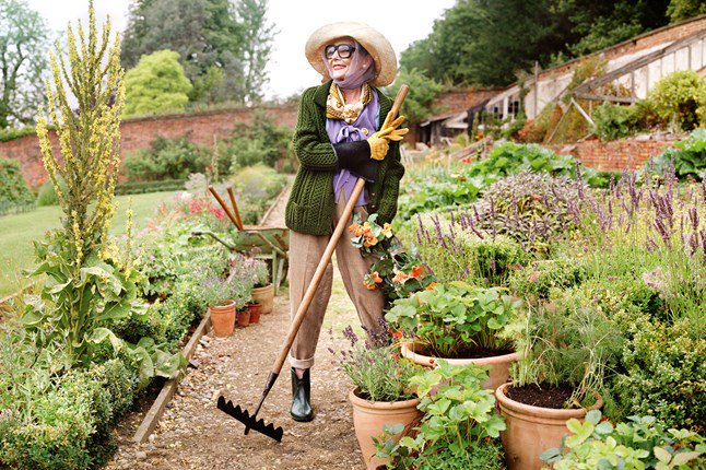 Discover <a href="/JoMaloneLondon/">Jo Malone London</a>'s exciting The Herb Garden collection at tonight's exclusive event: h.ouse.co/YWxYwN