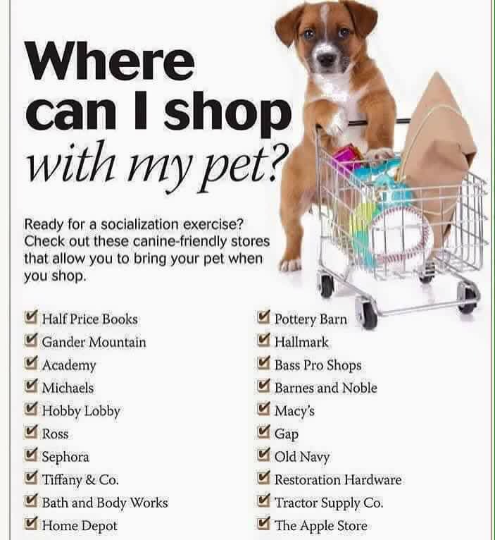 Is Bass Pro Shops Dog Friendly