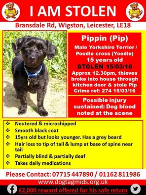 Stolen Missing Longtimelost 🐾Where Are They All (@hunnyjax) on Twitter photo "<a href="/BBCLeicester/">BBC Leicester</a> Plz Ask Listeners if theyve seen #FindPippin 15 yr old Dog STOLEN via BreakIn #Wigston
REWARD £2K "<a href="/BBCLeicester/">BBC Leicester</a> Plz Ask Listeners if theyve seen #FindPippin 15 yr old Dog STOLEN via BreakIn #Wigston
REWARD £2K