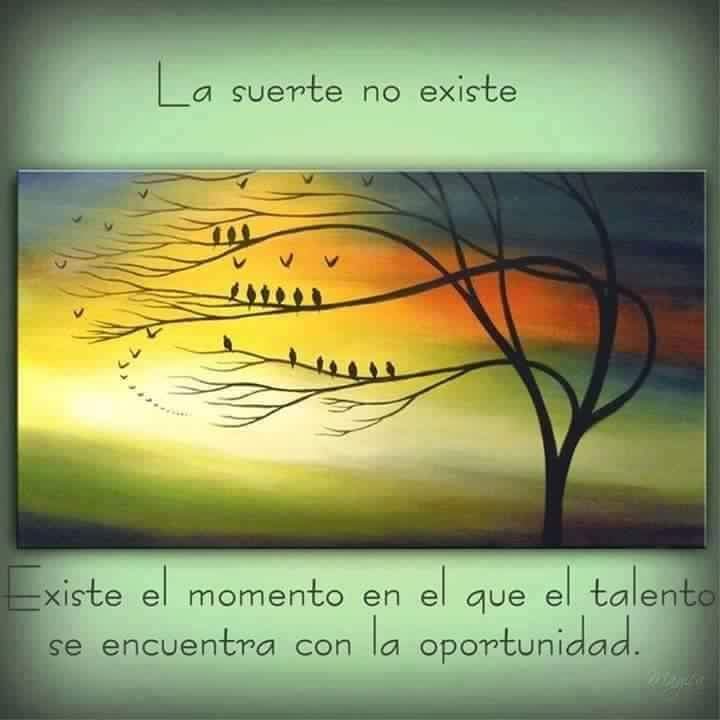 silviasusanne (@macorina2014) on Twitter photo 