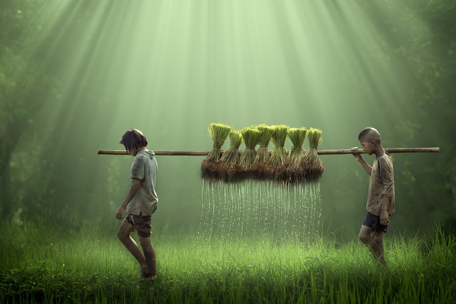 500px's tweet photo. "There is no substitute for hard work." —Thomas Edison https://t.co/EIJTjIcZVl #WednesdayWisdom 📷: J. Apinchai https://t.co/n34k9j4TKf