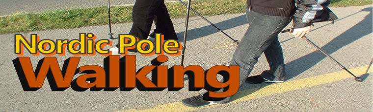 Join a certified Nordic Pole walking instructor to learn about this exercise. 4/22, 1-1:45pm
@GuelphLibrary main b.