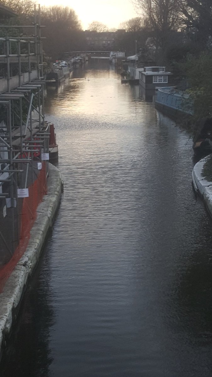 brineferry's tweet photo. "Rizla and SwanZy" -off to biRmingham
#swans
#littlevenice
#littleRob
#theyhavenamesnow😤😤😖💨 https://t.co/Uv1Y1ceLui