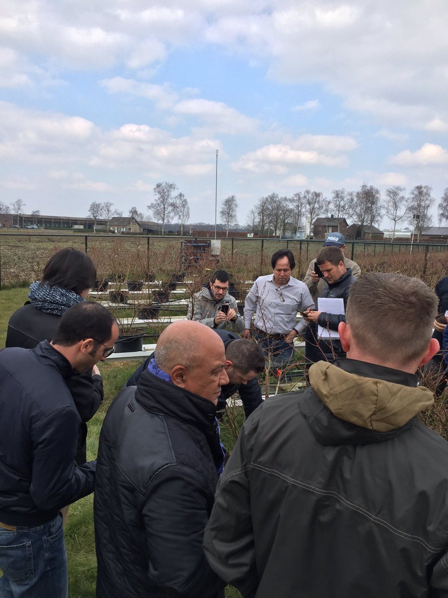 FelixxMoritz's tweet photo. Here with @Legro_Potgrond visiting a #berry grower, what a nice tour! #GBC2016 https://t.co/BwJRFaeRdG