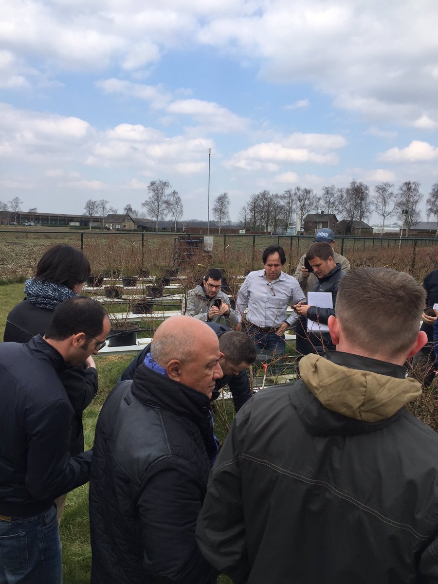 FelixxMoritz's tweet photo. Here with @Legro_Potgrond visiting a #berry grower, what a nice tour! #GBC2016 https://t.co/BwJRFaeRdG