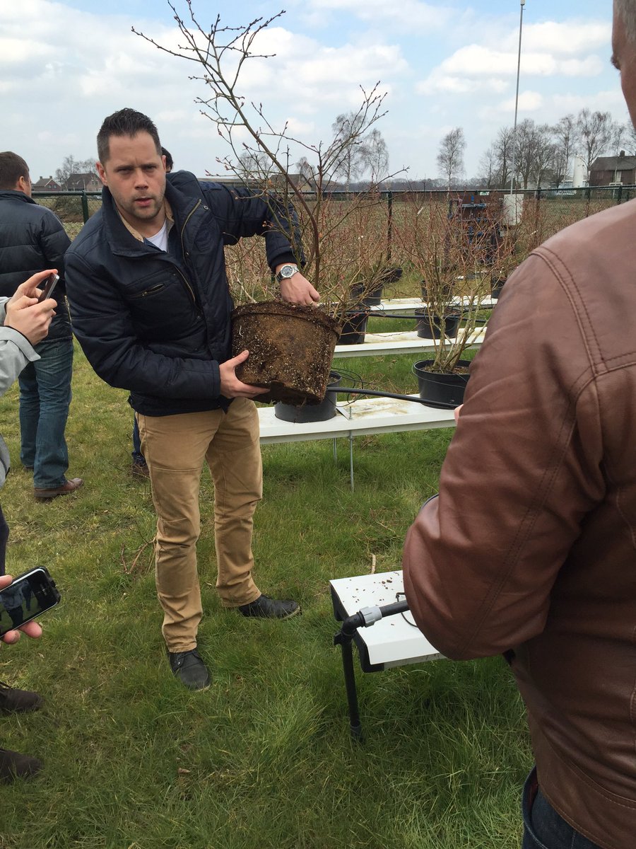 Here with <a href="/Legro_Potgrond/">Legro</a> visiting a #berry grower, what a nice tour! #GBC2016