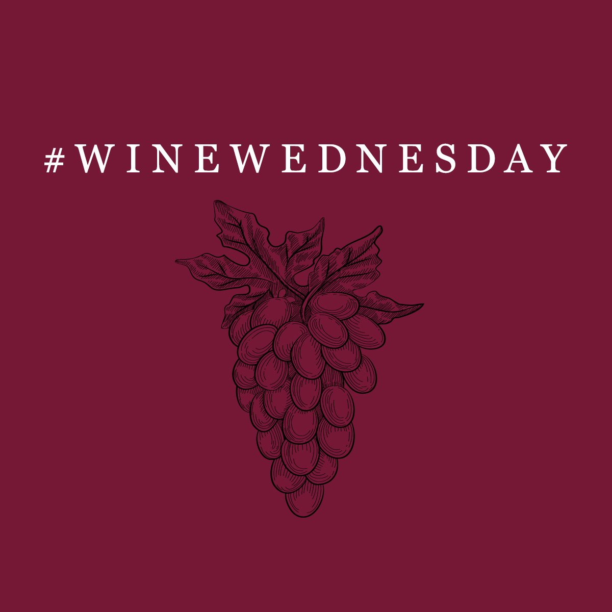 OrangeTreePub's tweet image. Celebrate #WineWednesday in style. We’ve got seasonal wines for just £10 or £15 a bottle. Join our #WineClub today.