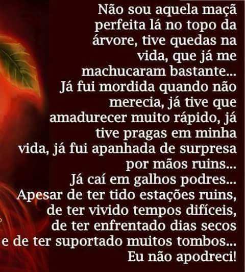LilyRybeyro's tweet photo. Amiga essa foto com essa frase, me definiu perfeitamente @DrikaMPerroni @MaiteOficial #recordas ... https://t.co/eNBDlnaObq