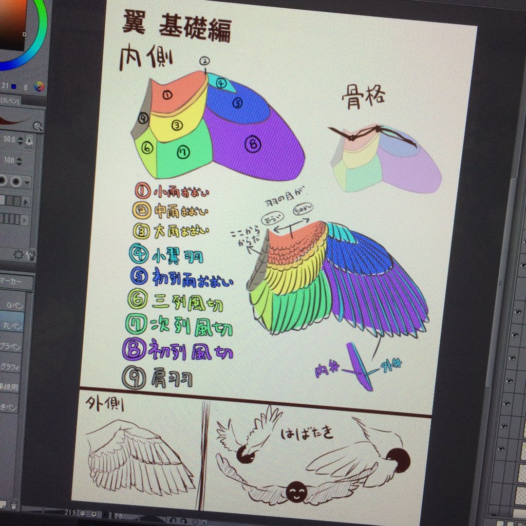羽の資料作れってなったけど、
翼の絵描いたことないなー。
あっとんかなー 