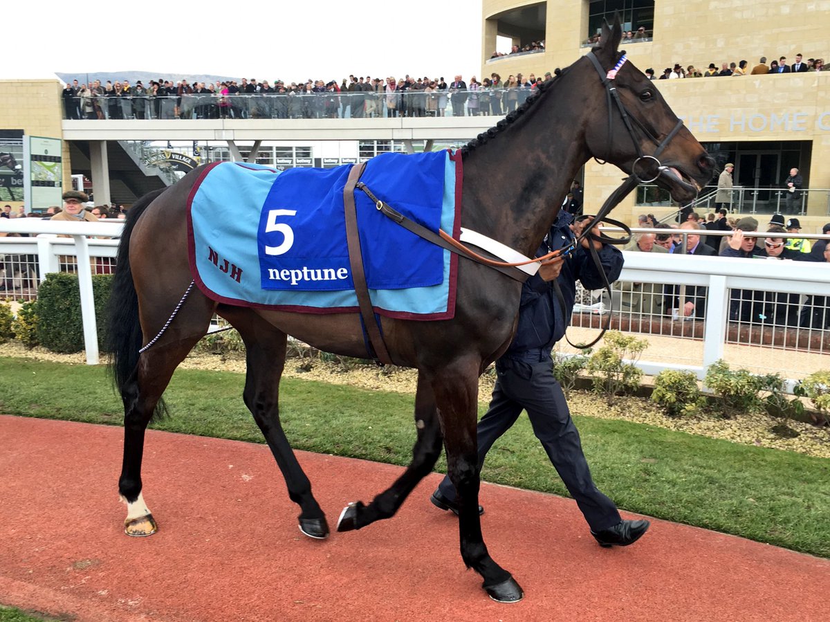 Great British Racing (@gbracing) on Twitter photo There's a double agent in town!
<a href="/sevenbarrows/">Nicky Henderson</a>'s O O SEVEN looks superb ahead of the Neptune. #CheltenhamFestival There's a double agent in town!
<a href="/sevenbarrows/">Nicky Henderson</a>'s O O SEVEN looks superb ahead of the Neptune. #CheltenhamFestival