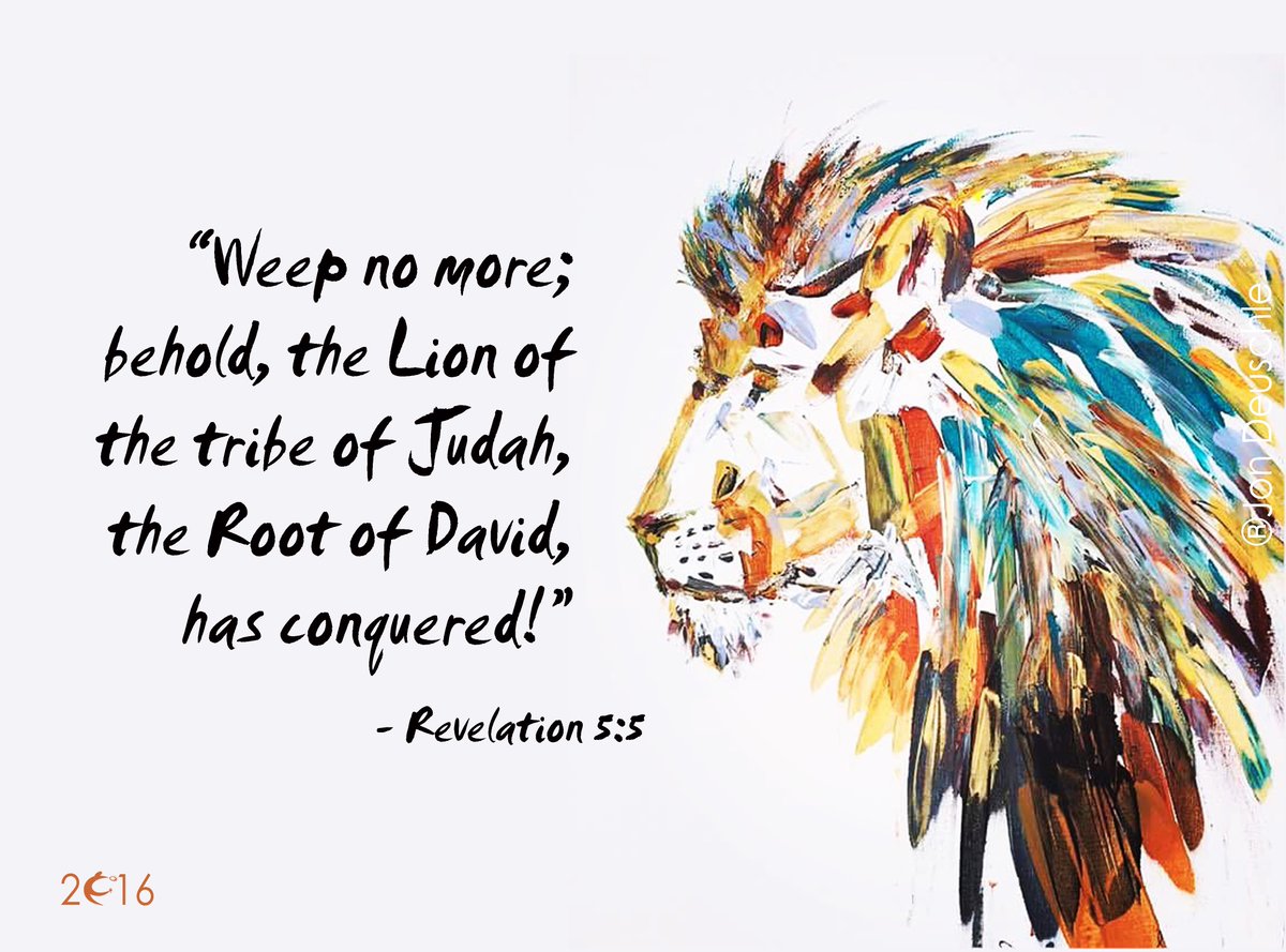 celebrationmin's tweet photo. "Weep no more; BEHOLD, the Lion of the tribe of Judah, the Root of David, has conquered!" #Revelation #1StepFurther https://t.co/4hKCuNLG9A