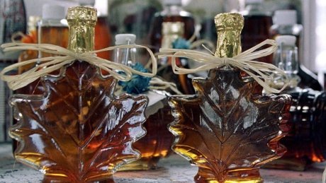 davepmurtha's tweet photo. "@CBCCanada: Is maple syrup good for the brain? New research suggests yes https://t.co/9E355fowX6 https://t.co/DnaSDMKB46" @Kennedy_Farms