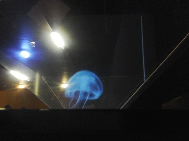 cloudz19's tweet photo. Hologram workshop with @TiyaniTee @4otune 
#iBlameGK @Geekulcha https://t.co/YZE9OjlwB8