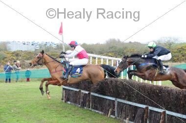 colinboweracing's tweet photo. A future festival winner?? Selling @tattscheltenham - Lot 19 Daklondike #futurestar #seriousprospect #festivalfamily https://t.co/ottlsjWccf