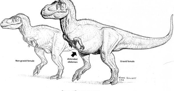 ScienceArtBlog's tweet image. Fossil of pregnant T. Rex might still have DNA
huff.to/1YZeiOB

Illustration by paleoartist Mark Hallett