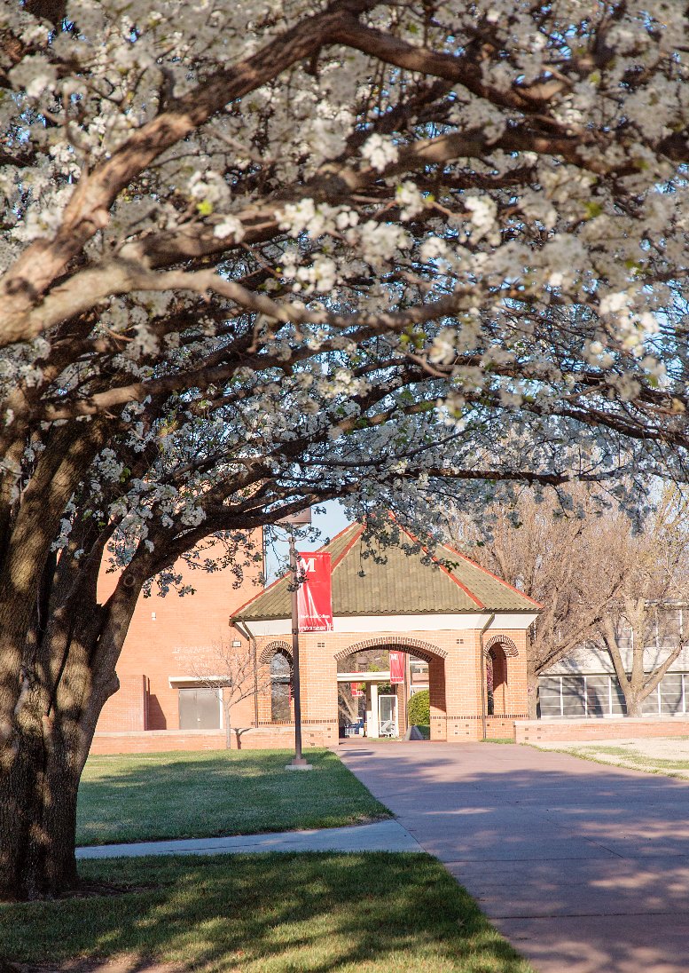 Love this time of year on campus! Sooo close to spring!