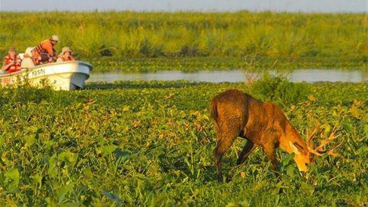 Recuperan la fauna de los Esteros del Iberá clar.in/1RNStMs