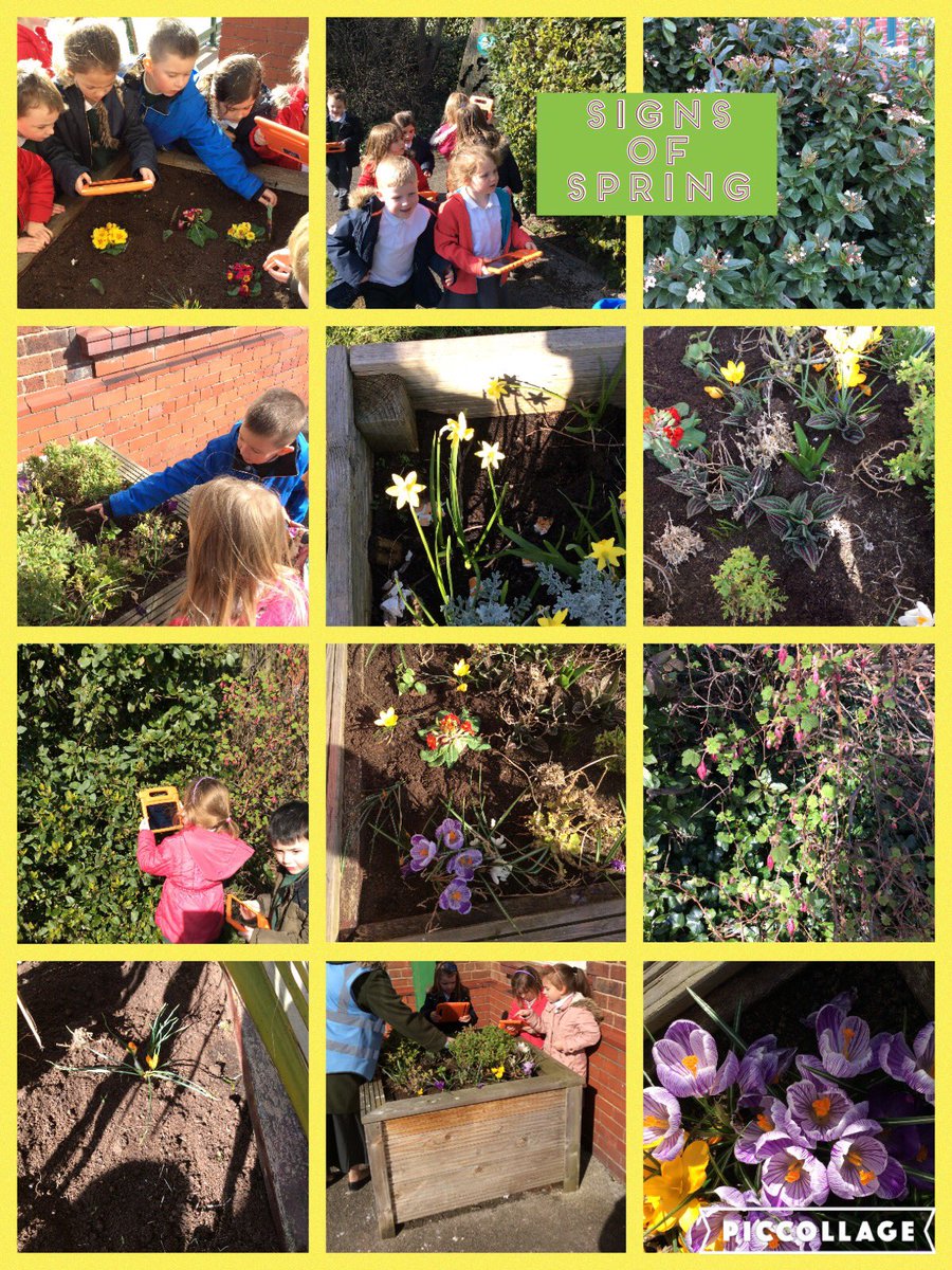 Miss_Day1's tweet photo. Yesterday we went on a special walk to find signs of Spring around school @LiscardPrimary https://t.co/wPEwmABcuE