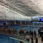 Photo by CCSwim and Dive (@CCSwimming)