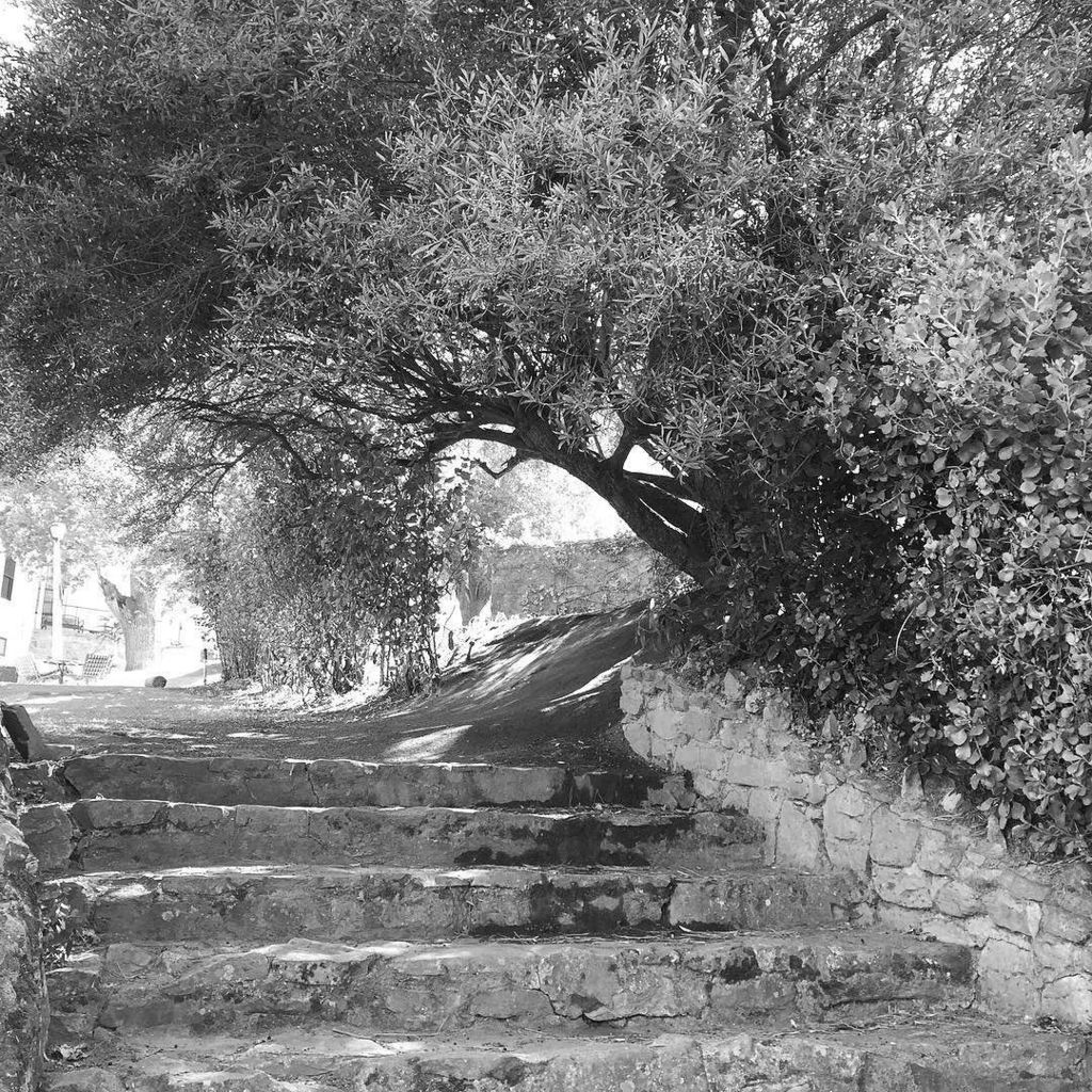 AmusingMeow's tweet image. Site visit for Saturday's wedding. #weddingvenues #weddingphotographer ift.tt/1pnXDb8