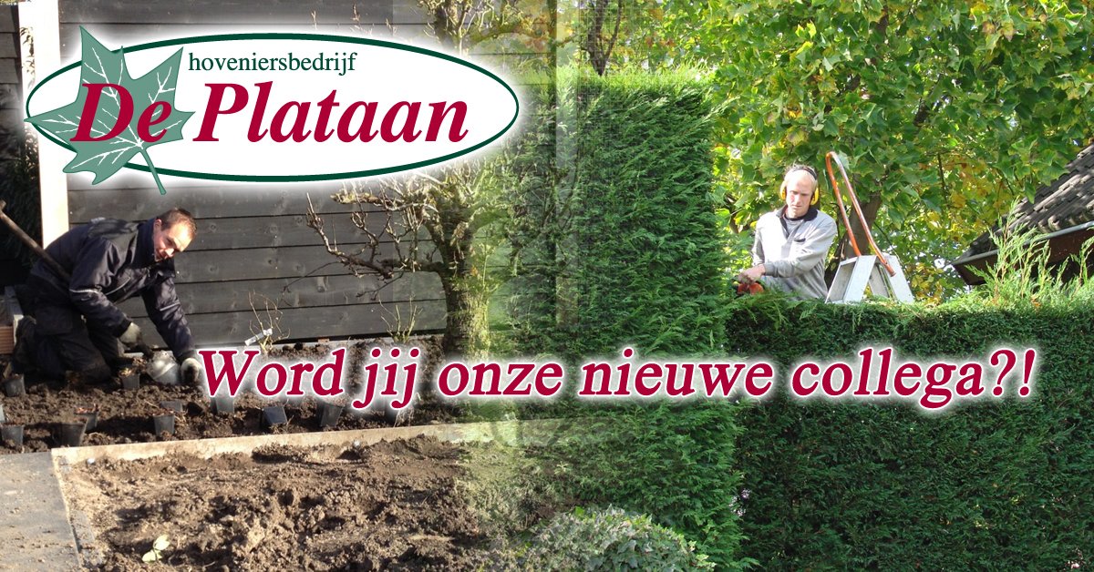 plataanbrakel's tweet photo. Wij hebben plaats voor een (leerling) #hovenier.
Kom jij ons #professionele team versterken? https://t.co/XCKRXuNbKr https://t.co/nFtTQSv7ed