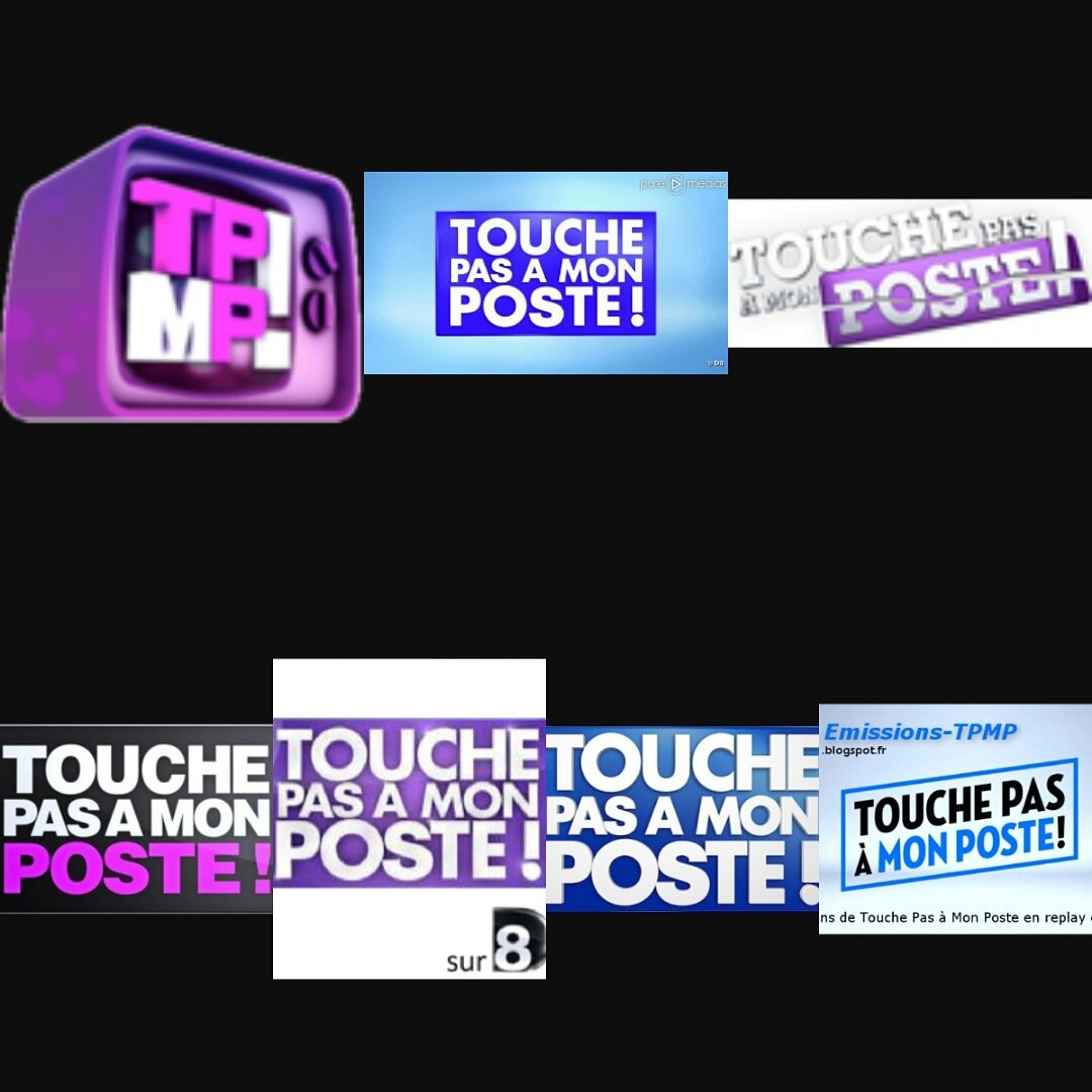 DupleshowTpmp's tweet photo. Voici tous les logos de l émission TPMP #TPMP #LOGOS https://t.co/6wJQaGnKEP