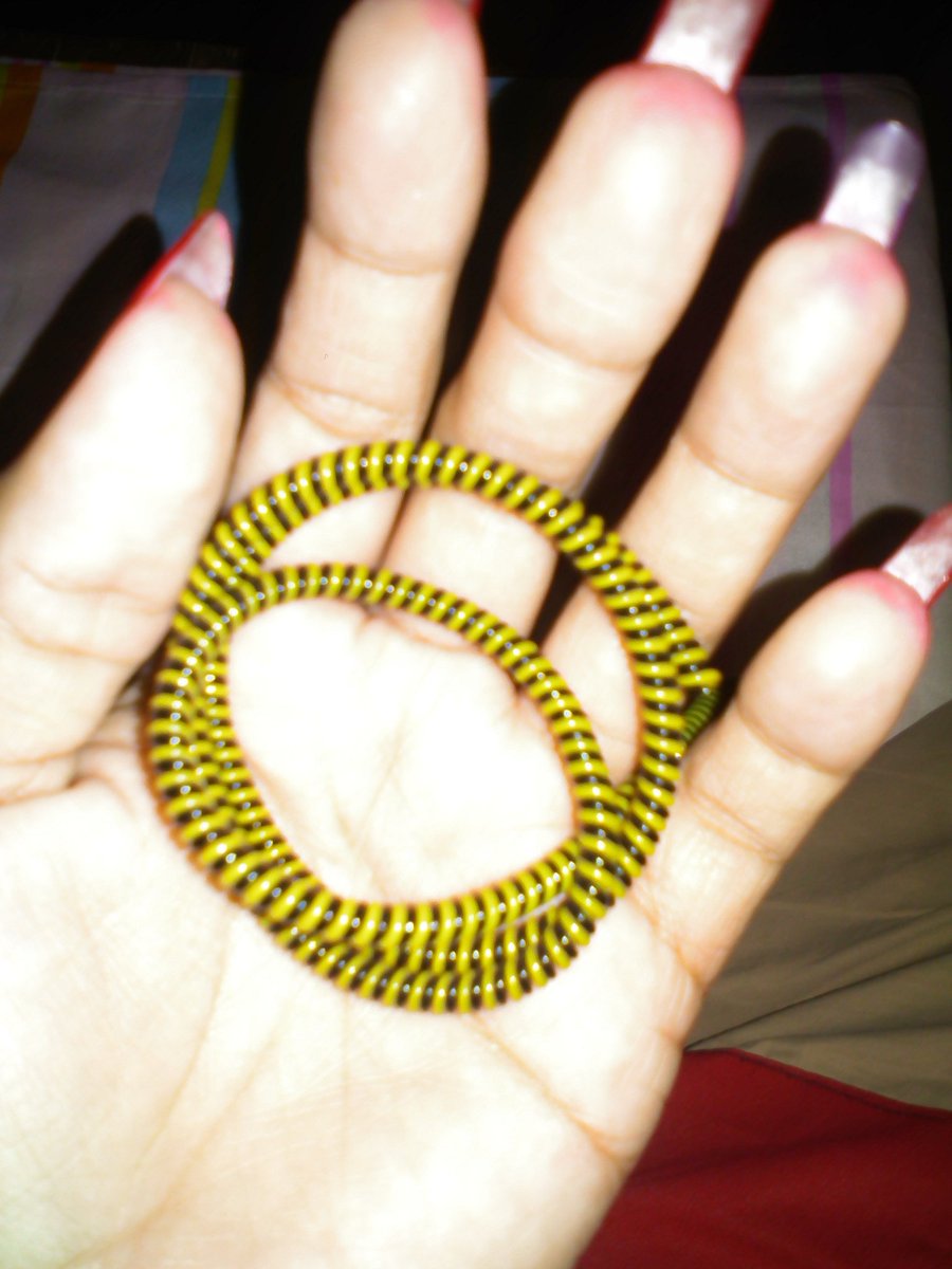 _yyyyyyyyyyy_'s tweet photo. #cordprotector it's a combination of yellow and black color.
Yeah. related on my VP and Presidential bet.
#MarLenial https://t.co/otqfr0f0yw