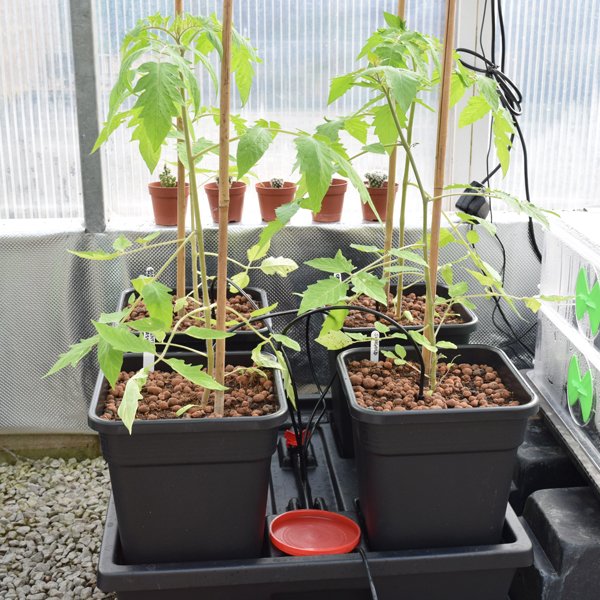 NutGrowSystems tweet picture