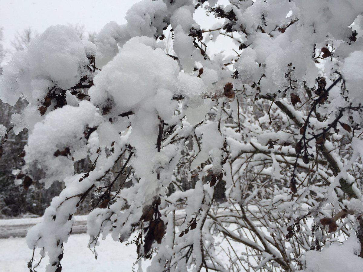 duluthdotcom's tweet image. 27 Suggestions to Spend A Snow Day now up on the site! #lazy #snowday #iguessilldosomechores duluth.com/27-suggestions…