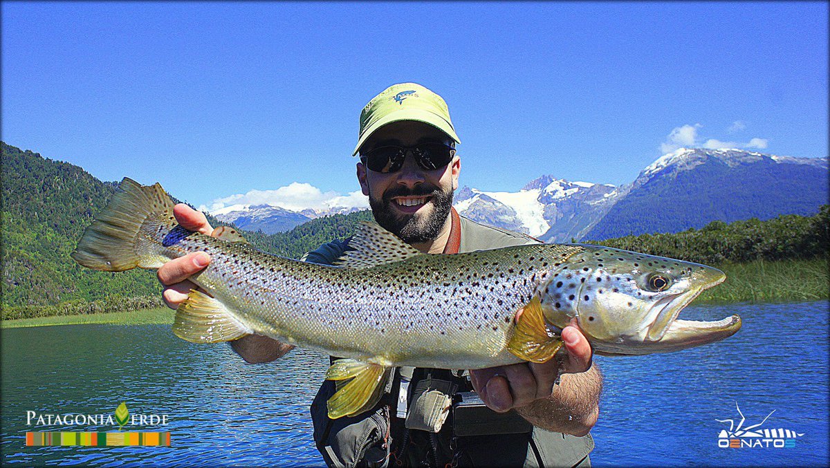 o2natos's tweet photo. @DavidArcay in #Yelcho @YelchoLodge #flyfishing #trout #brown @AnglerFriendly https://t.co/1vaeGLg8fU