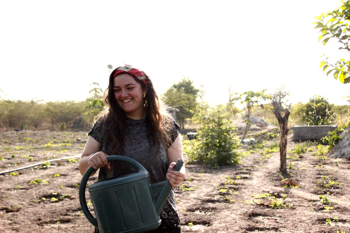 BardTLS's tweet photo. Julia Tinneny's Bard Senegal Project was awarded a Davis Peace Prize! Congratulations Julia! https://t.co/crsH01ujp7 https://t.co/VLTqK27Kfk