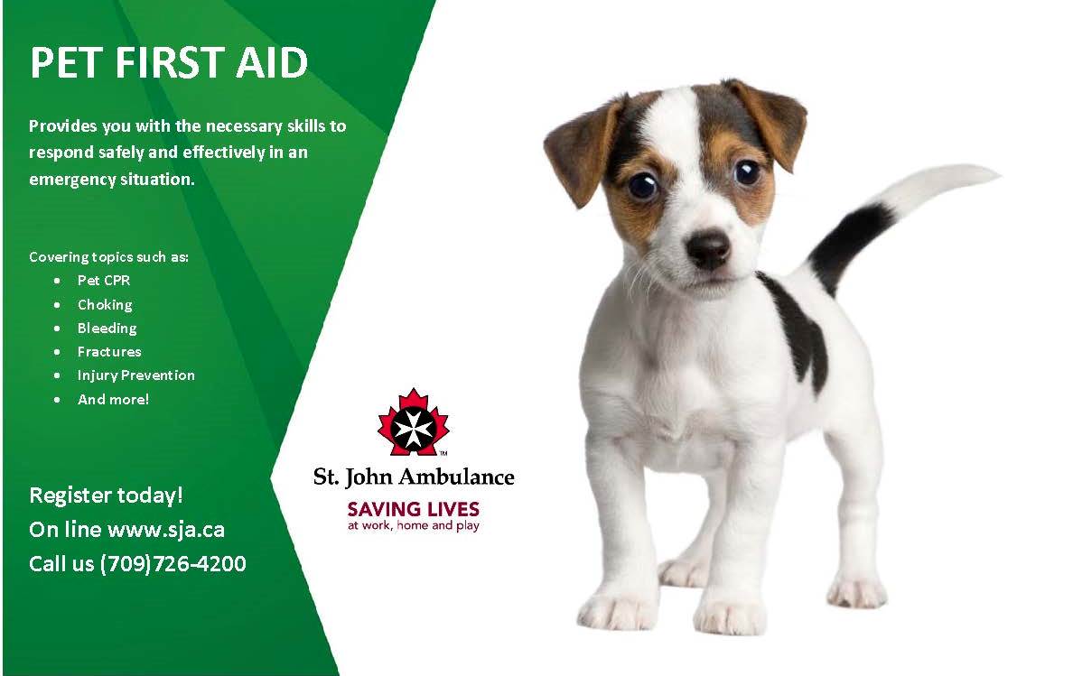 st john pet first aid kit