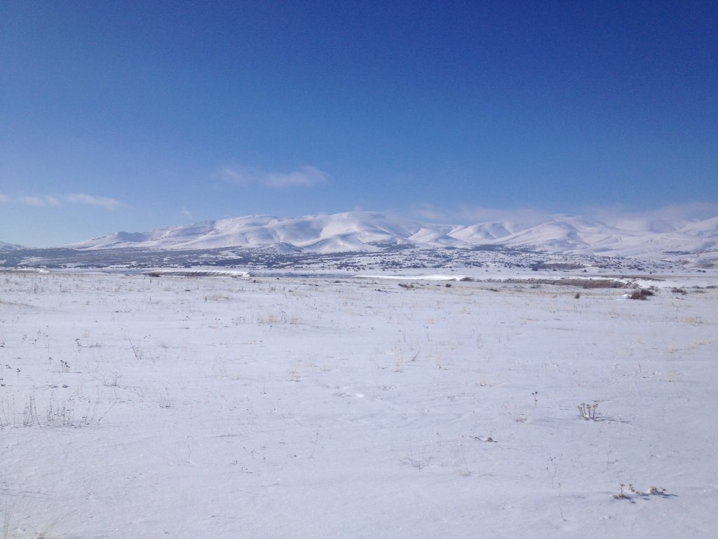 aşikar (@dasti) on Twitter photo 