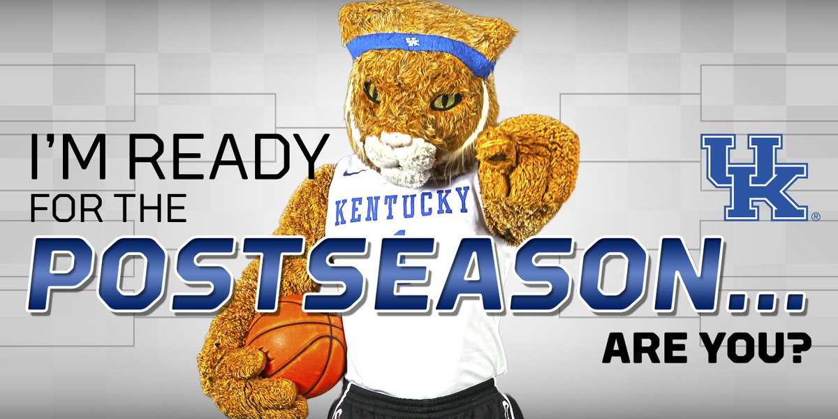 The_Wildcat's tweet photo. Are you ready? #BBN https://t.co/dIpwuDVOFu