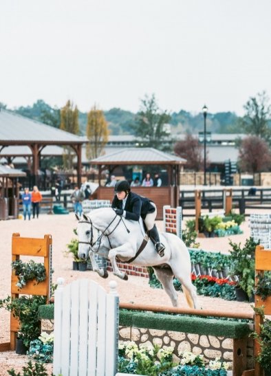 WNCmagazine's tweet photo. Unbridled Enthusiasm: Tryon International Equestrian Center Isn't Just Horsing Around https://t.co/ssKvThRNvM https://t.co/WzBnXyyZlB