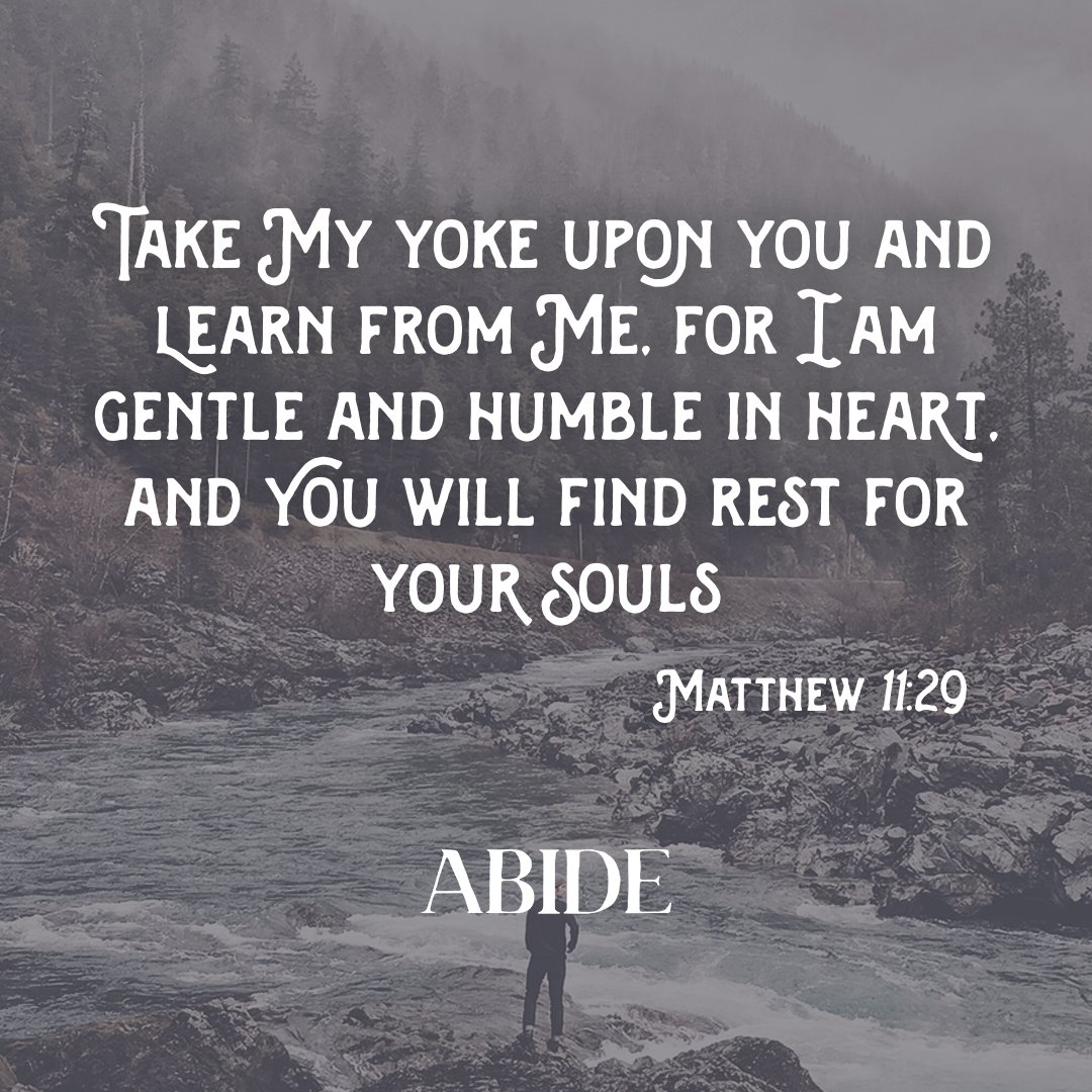 LBSstudents's tweet photo. Abide! New Study from #DavidPlatt will be available March 29! #youthmin #ministry #uthmin https://t.co/T57UE1dVie https://t.co/1s9nq8dcQ3