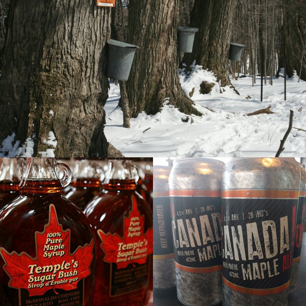 PerthBrewery's tweet photo. A well crafted ale brewed in collaboration with @Temples_Syrup. Perfect time of year for our Maple beer! #craftbeer https://t.co/mTAHxDg5h4