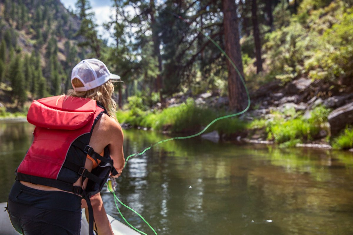 rivertrips's tweet photo. Which flies should you bring on your Middle Fork trip? We have some helpful hints:https://t.co/1N5LnyXUiU https://t.co/3M8mG8wEE1